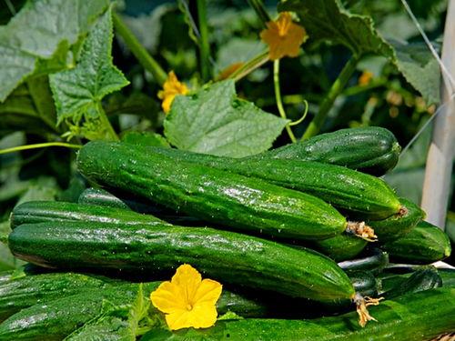 山东大瓜爆料视频大全集,揭秘娱乐圈幕后真相  第3张